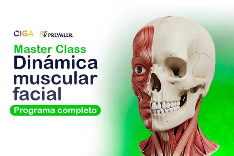 MC Dinámica Múscular F