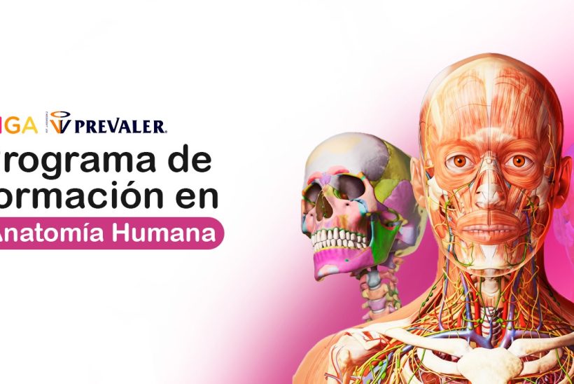 Asesorias de Anatomía